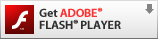 Adobe Flash Player Required
